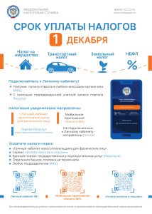 Срок уплаты налогов 1 декабря