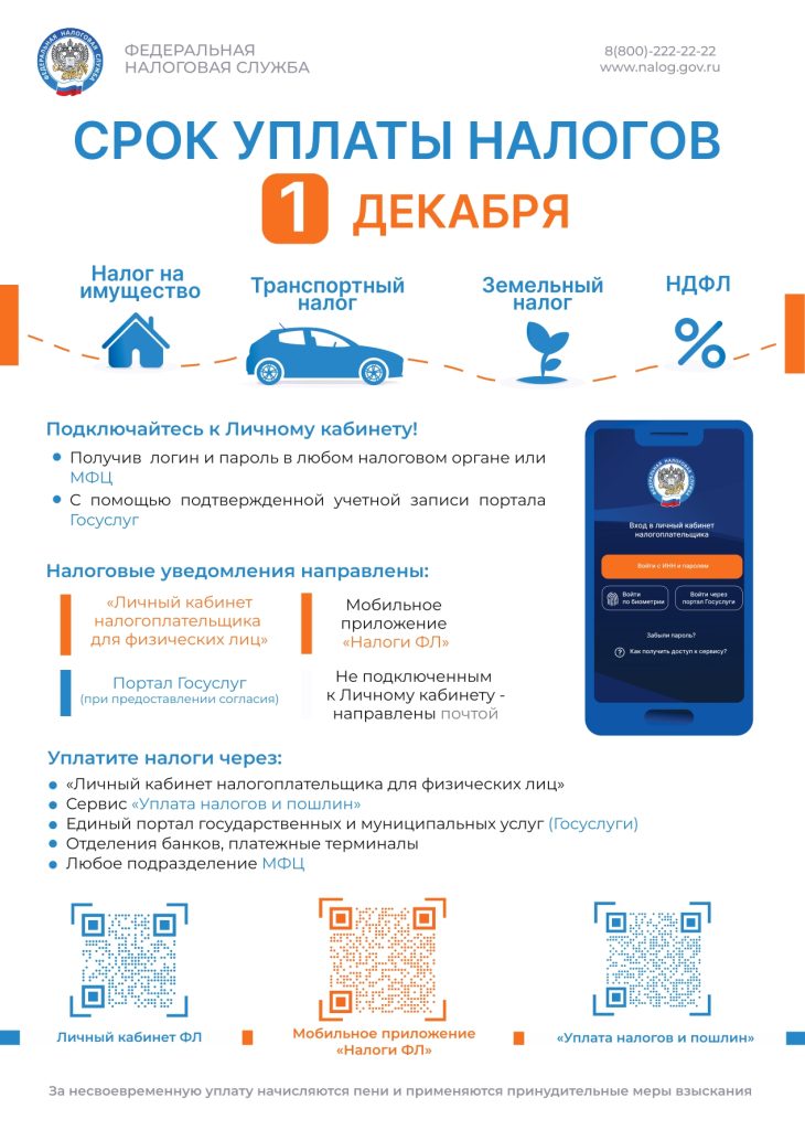 Срок уплаты налогов 1 декабря